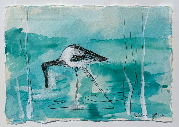 Christine Gibbs - Jabiru
