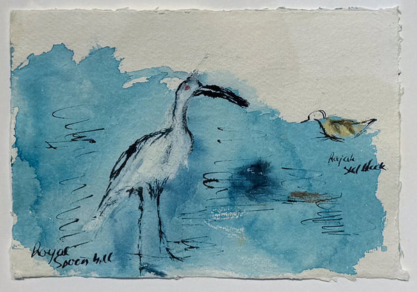 Christine Gibbs - Royal Spoonbill