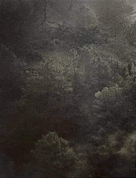 David McBurney - Lost Truth
