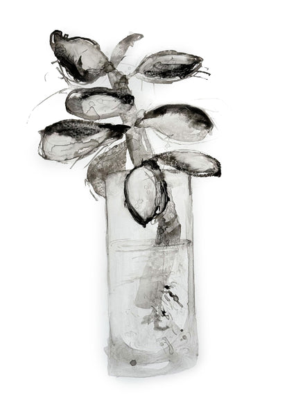 Merrian Dennis - Botanical Specimen #2
