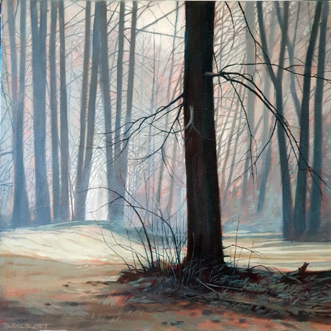 Bruce Baycroft - Cottonwoods In Winter