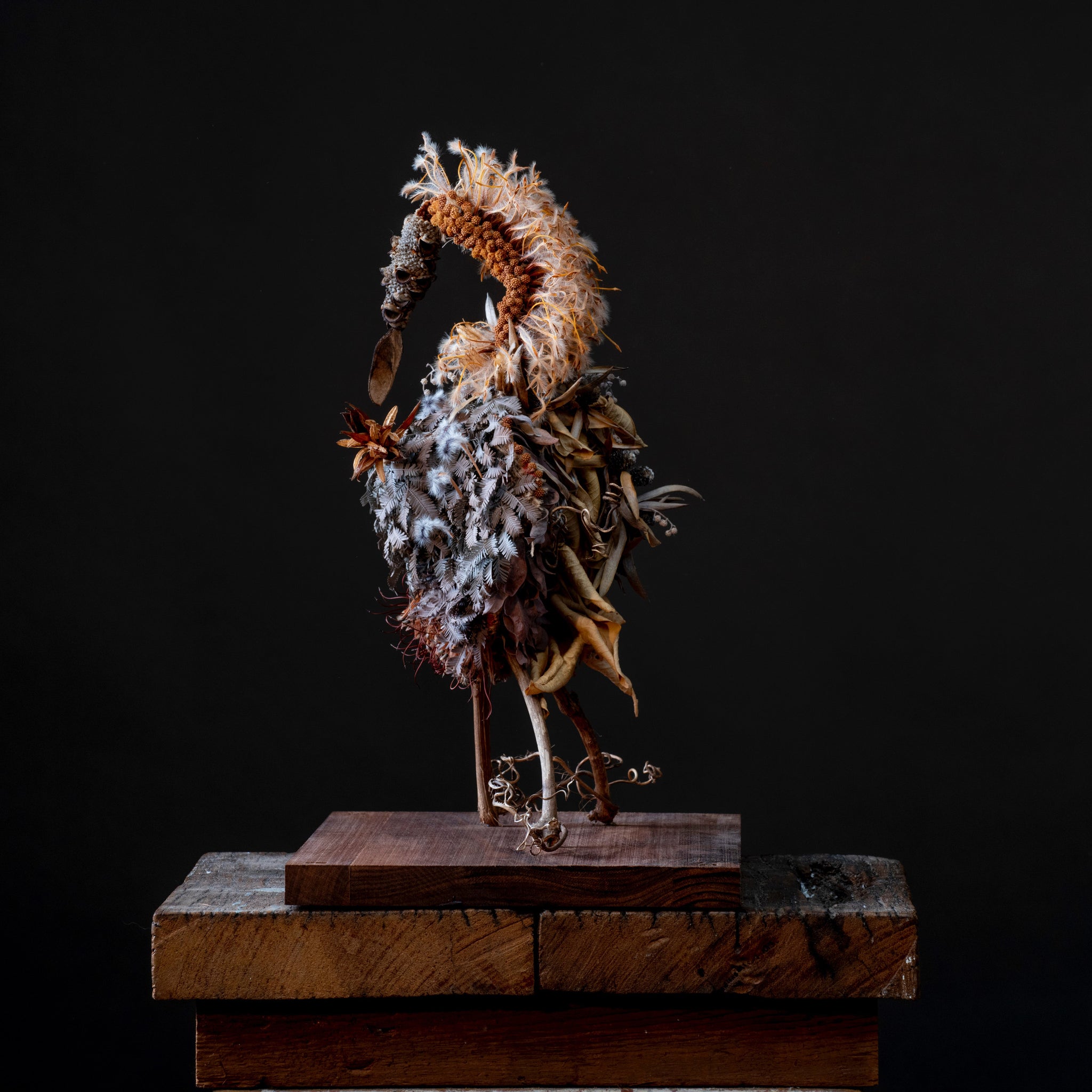 Sarah Coffey - Remnant 1