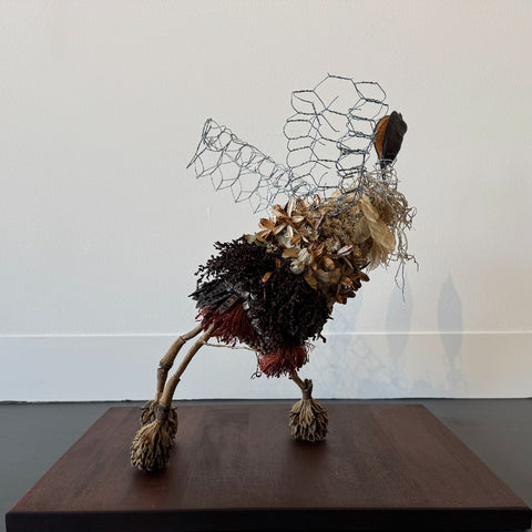 Sarah Coffey - The Runner