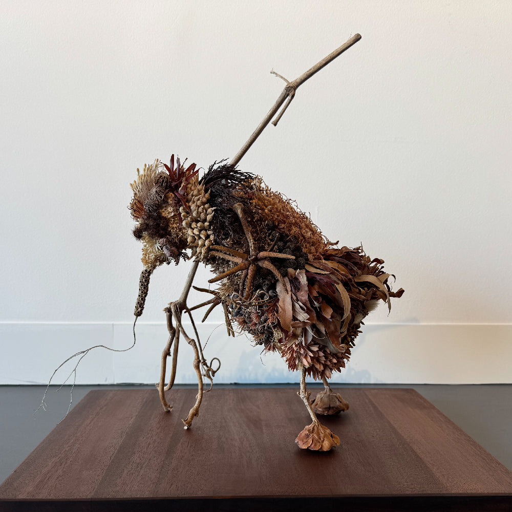 Sarah Coffey - The Wanderer