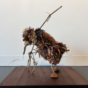 Sarah Coffey - The Wanderer