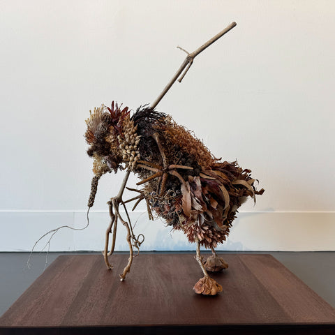 Sarah Coffey - The Wanderer