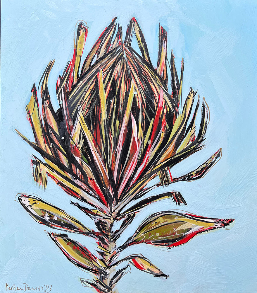 Merrian Dennis - Mini Queen Protea