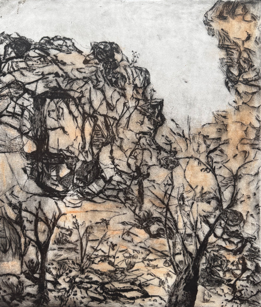 Louise Donovan - Alice Springs