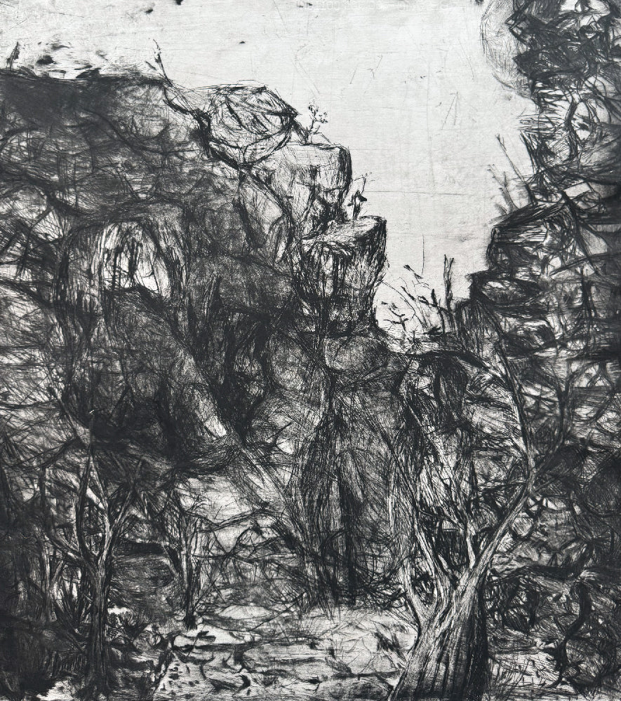 Louise Donovan - By the Rocks