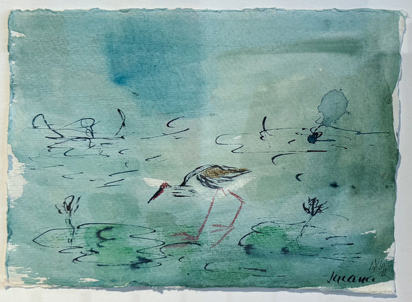 Christine Gibbs - Jacana #2