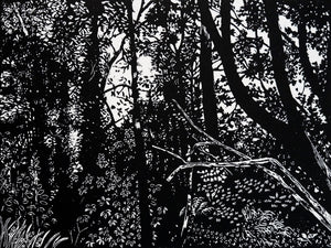 Chris Lawry - Birdsland - the Forest