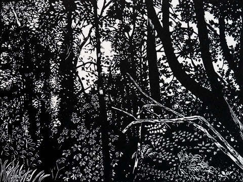 Chris Lawry - Birdsland - the Forest