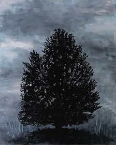 Chris Lawry - Cloudy Afternoon