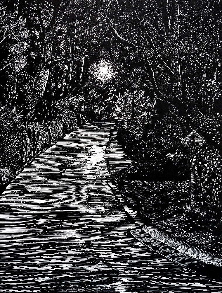 Chris Lawry - My Evening Walk