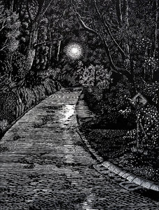 Chris Lawry - My Evening Walk