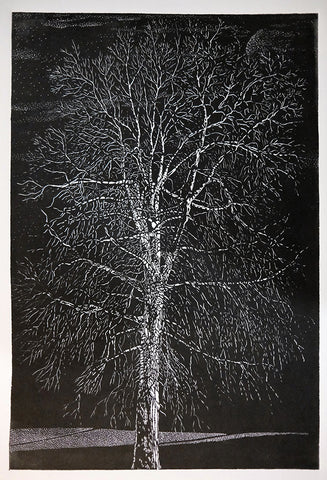 Chris Lawry - A Tree in Belgrave - a Portrait