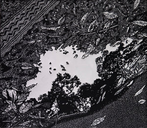 Chris Lawry - A Respectful Tribute to Escher's Puddle