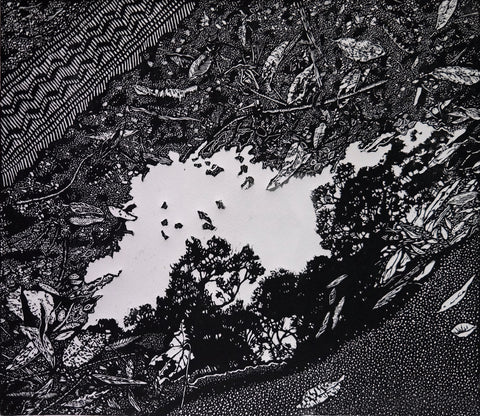 Chris Lawry - A Respectful Tribute to Escher's Puddle