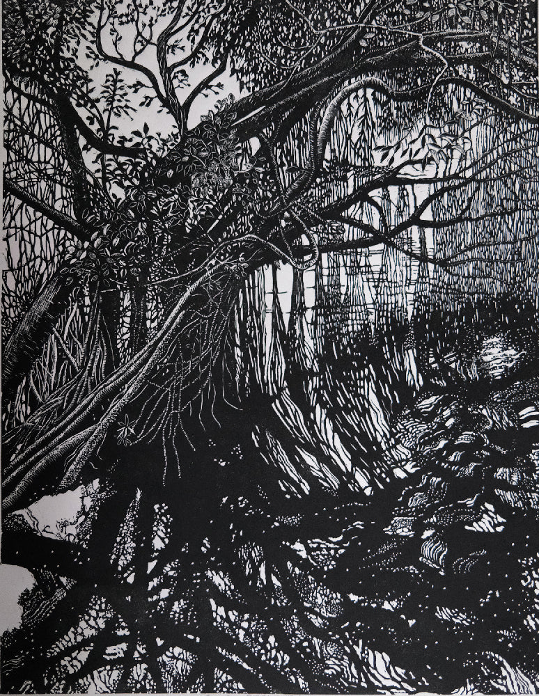 Chris Lawry - Quiet Reflection
