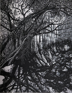 Chris Lawry - Quiet Reflection