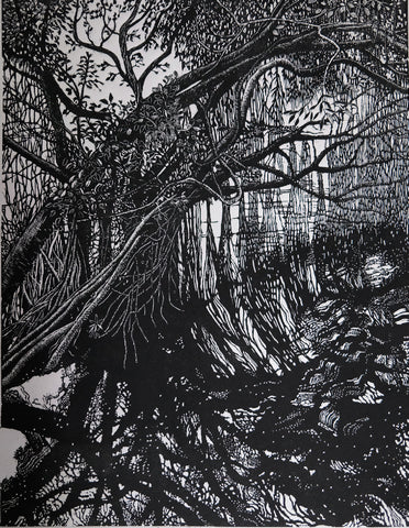 Chris Lawry - Quiet Reflection
