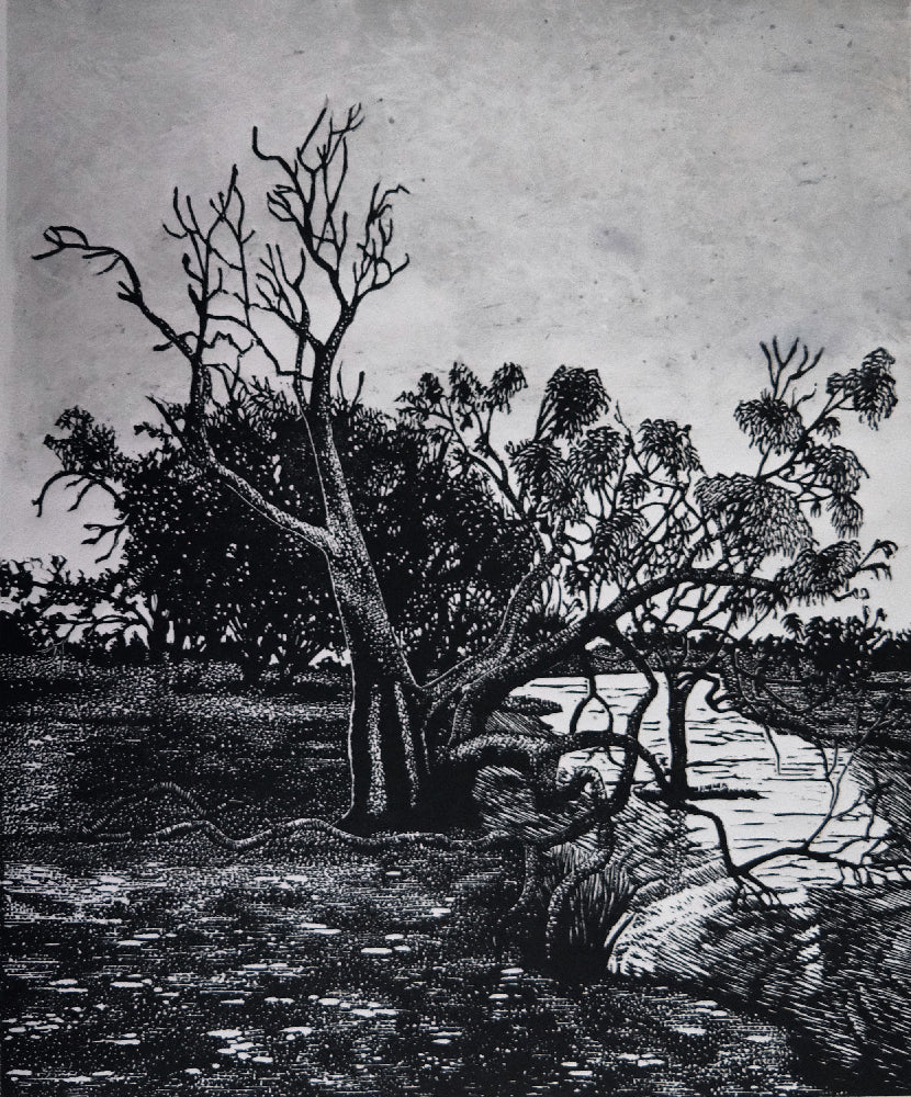 Chris Lawry - Scar Tree