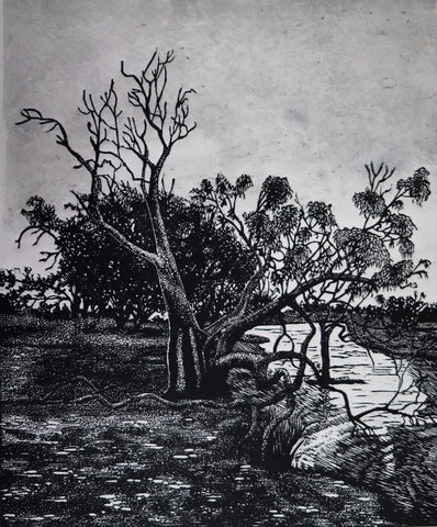 Chris Lawry - Scar Tree