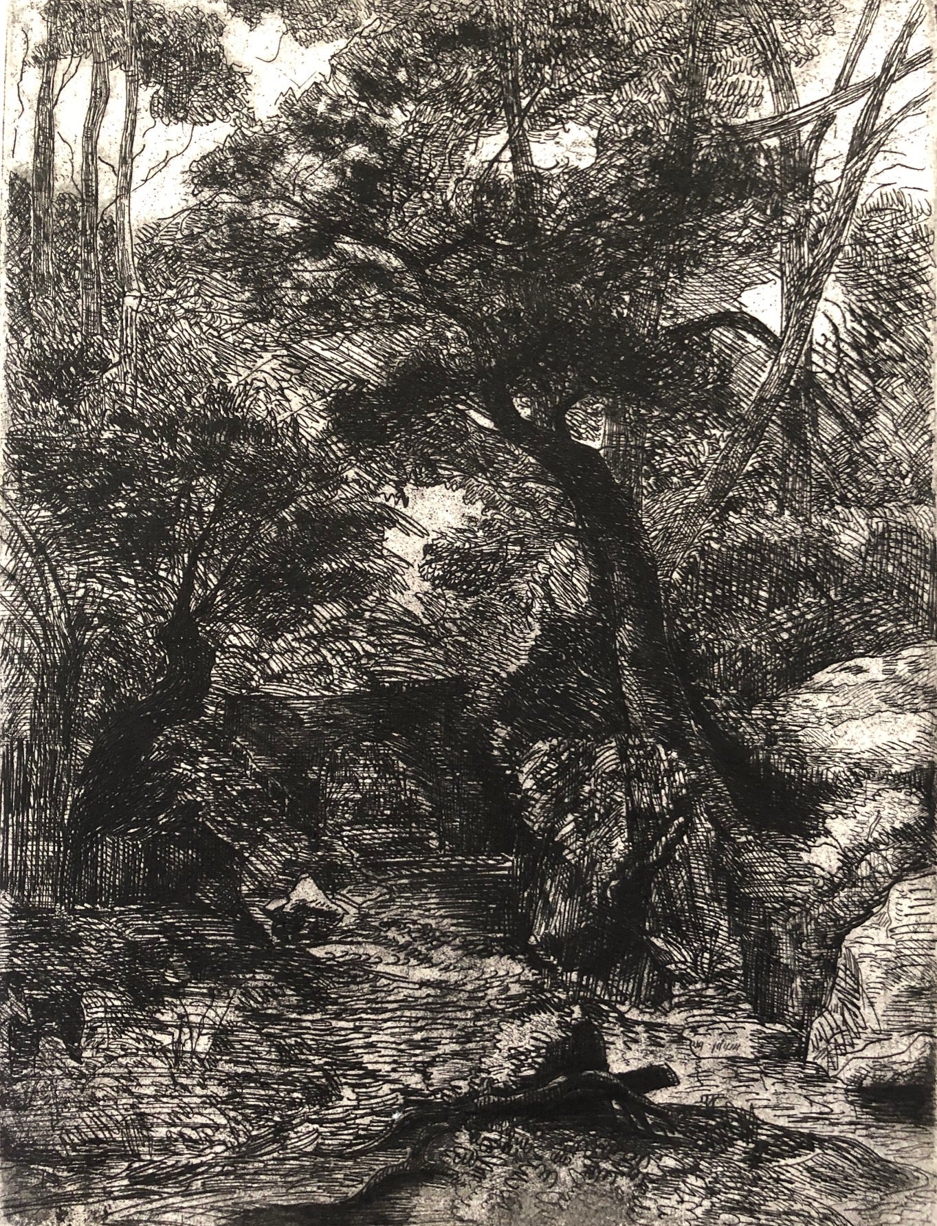 Jennifer Marshall - Forest Stream