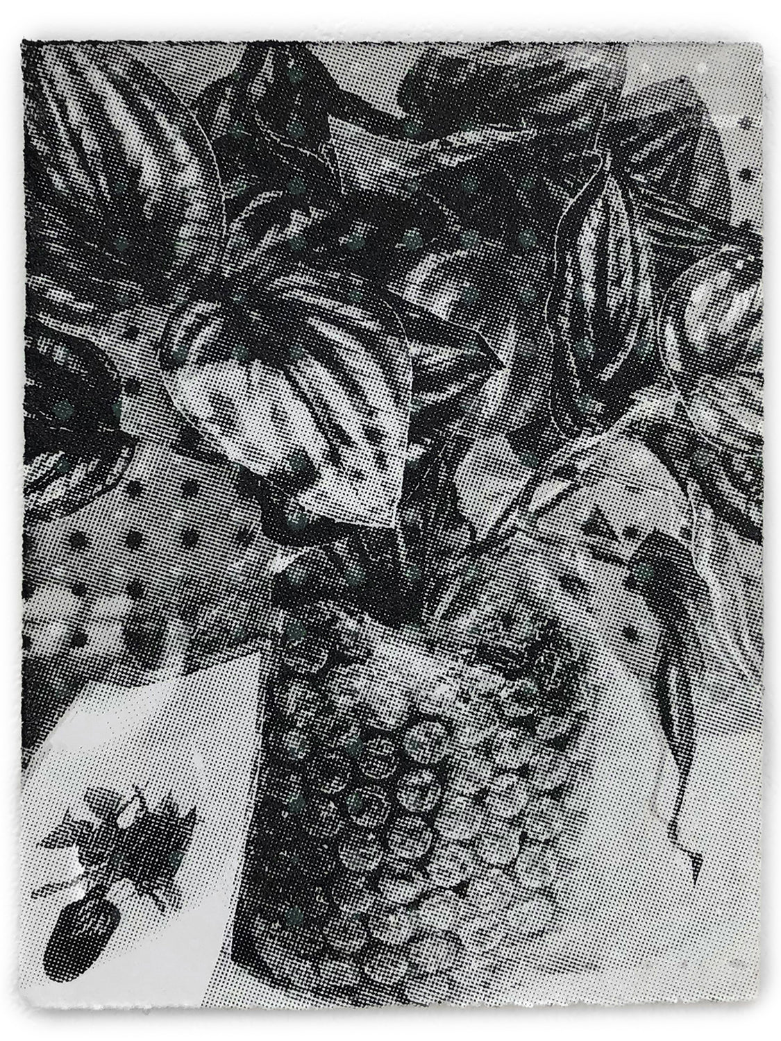 David McBurney - Living with Reproduction II