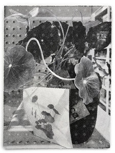 David McBurney - Living with Reproduction I