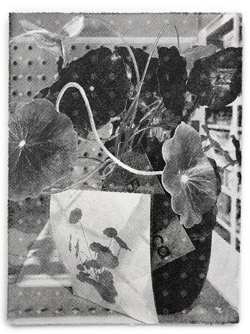 David McBurney - Living with Reproduction I