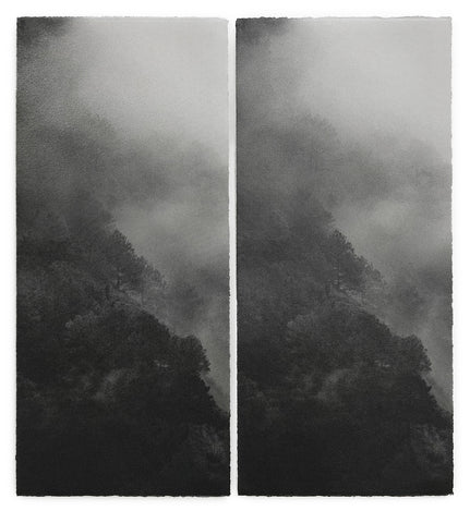 David McBurney - Lost Truth (diptych)