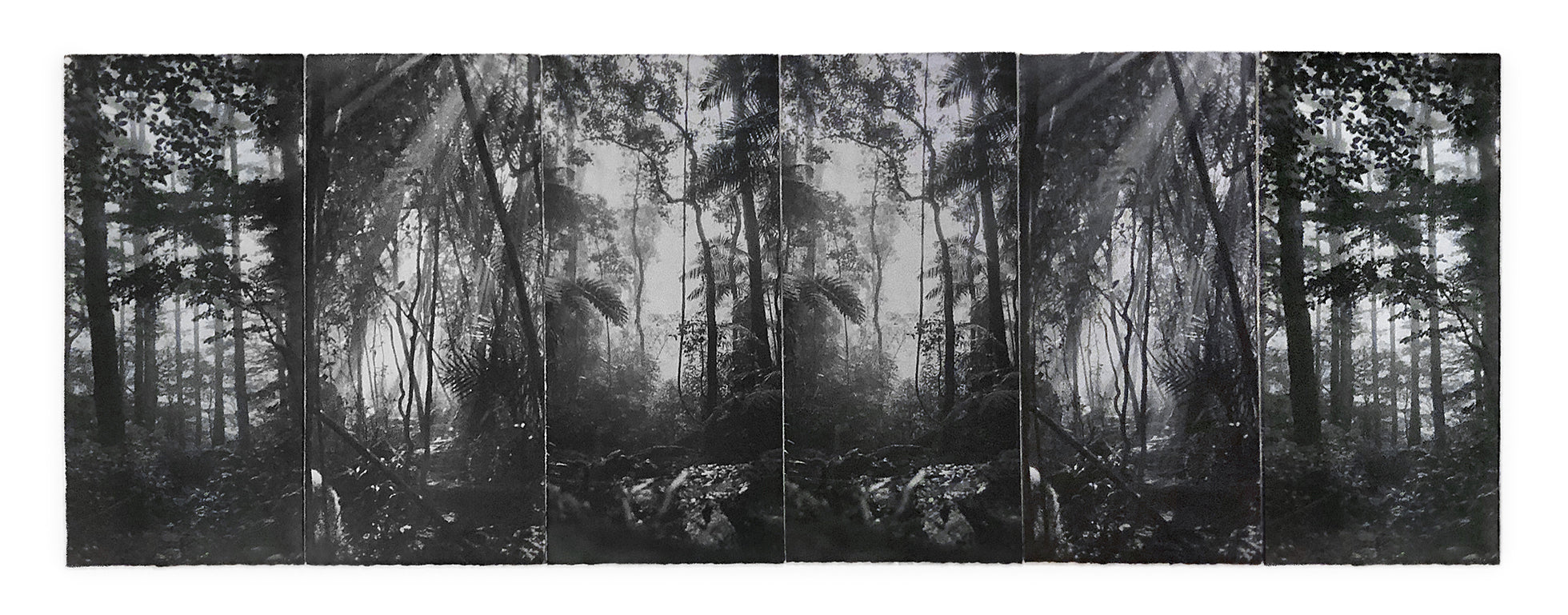 David McBurney - Lost Truth (hexaptych)