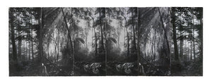 David McBurney - Lost Truth (hexaptych)