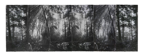 David McBurney - Lost Truth (hexaptych)