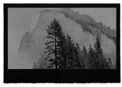 David McBurney - Searching For Nature III
