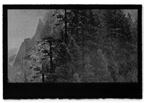 David McBurney - Searching For Nature II