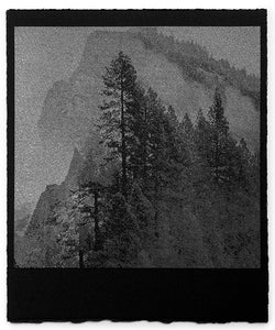 David McBurney - Searching For Nature I