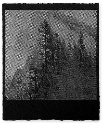 David McBurney - Searching For Nature I