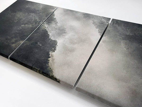 David McBurney - Lost Truth