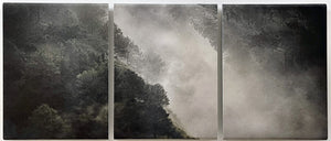 David McBurney - Lost Truth