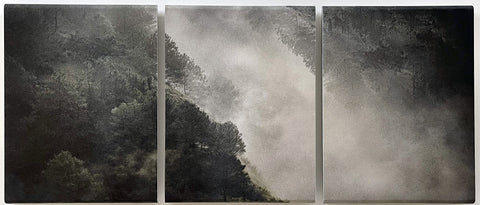 David McBurney - Lost Truth