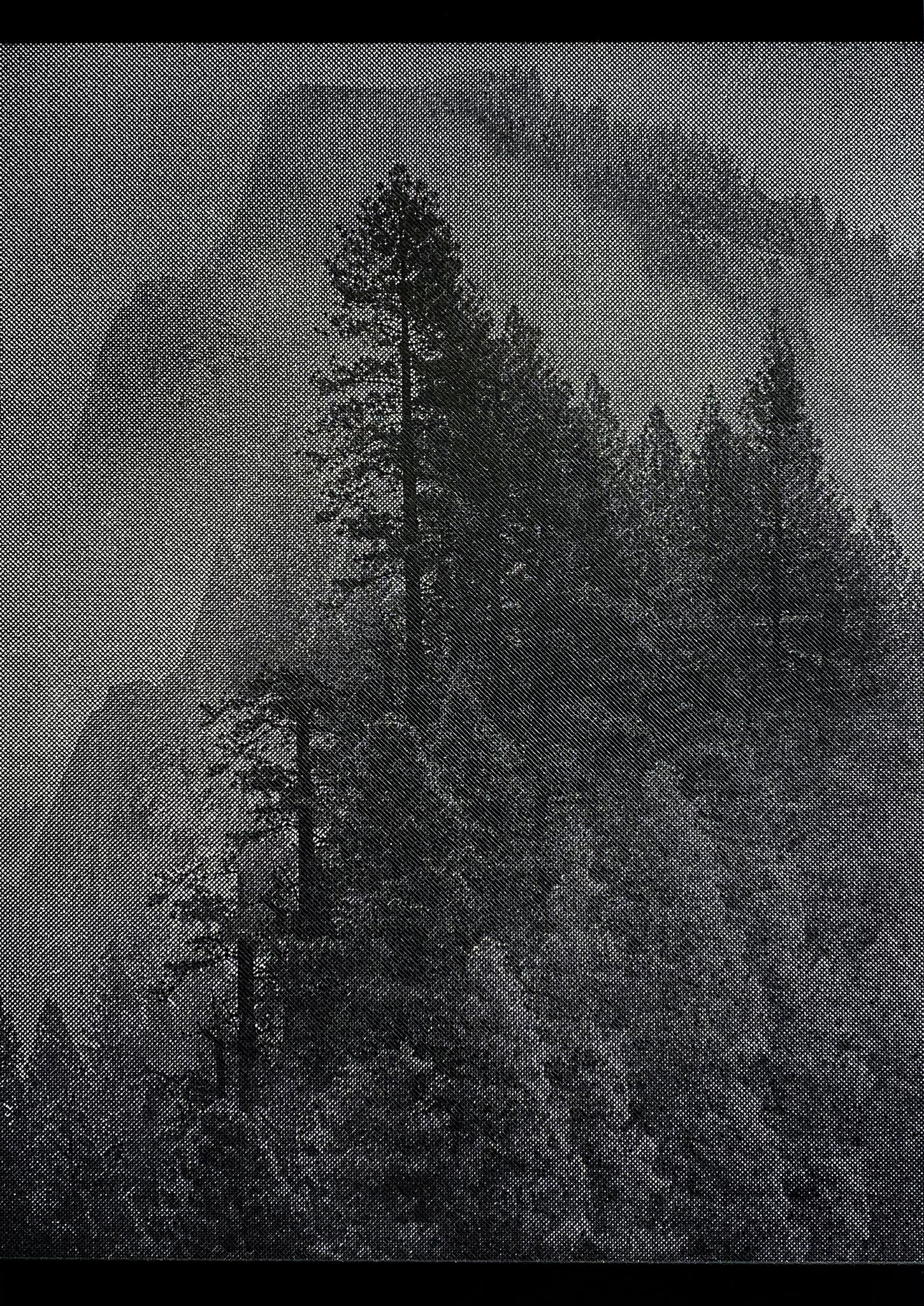 David McBurney - Mountain I