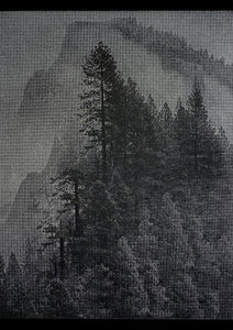 David McBurney - Mountain I