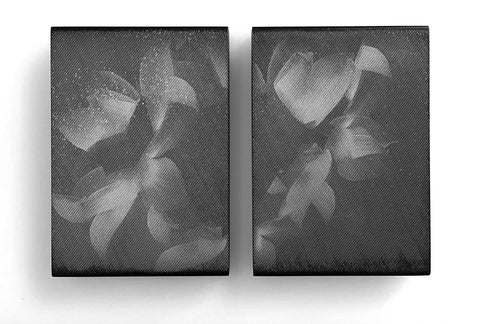 David McBurney - Memory of a Lotus 3