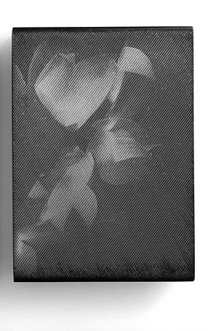 David McBurney - Memory of a Lotus 3b