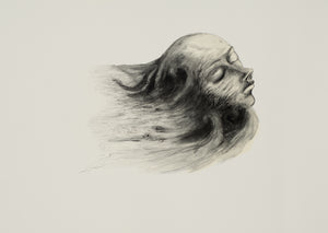 Jan Palethorpe - Return to earth