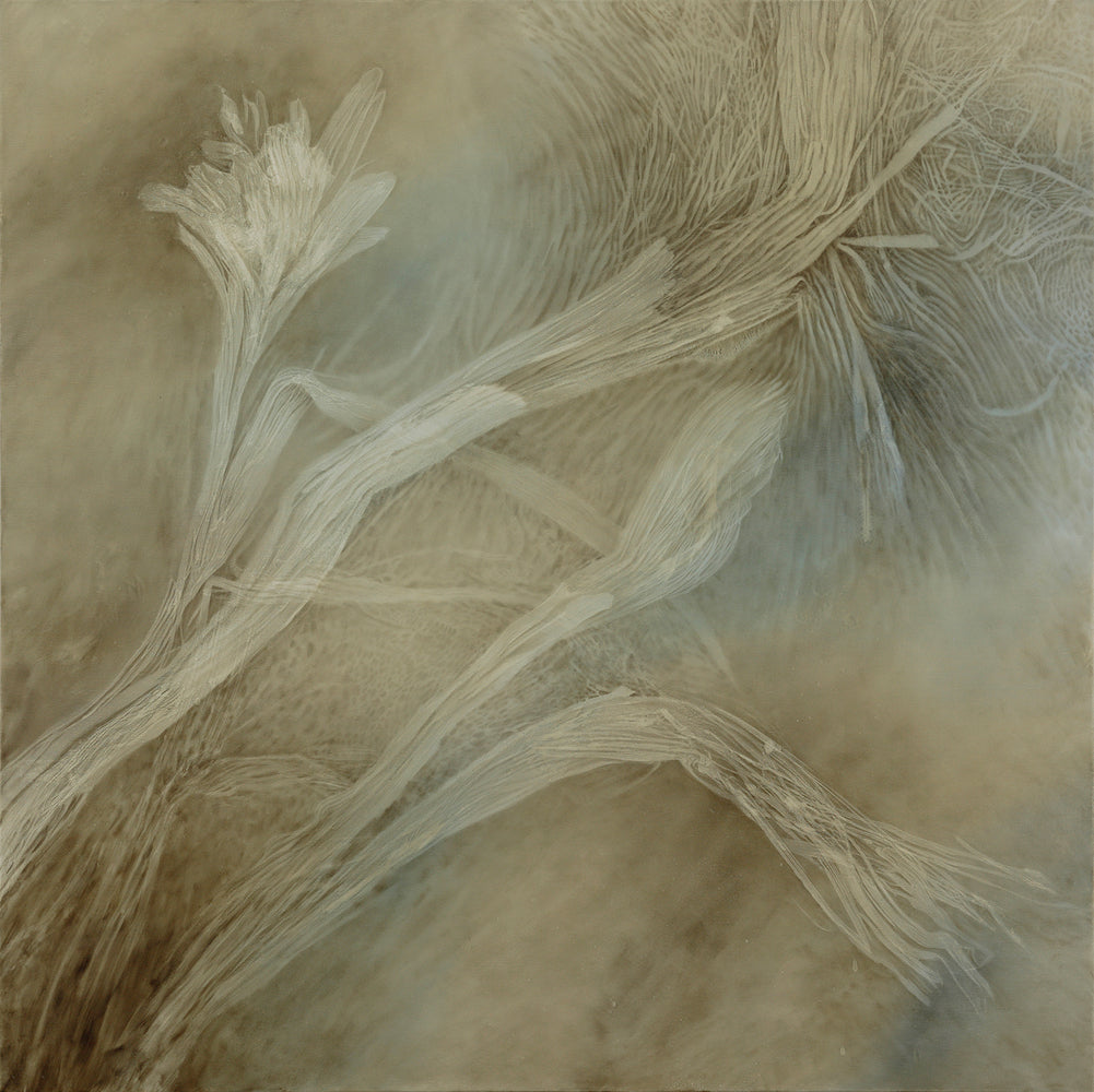 Shirley Ploog - Close to Home