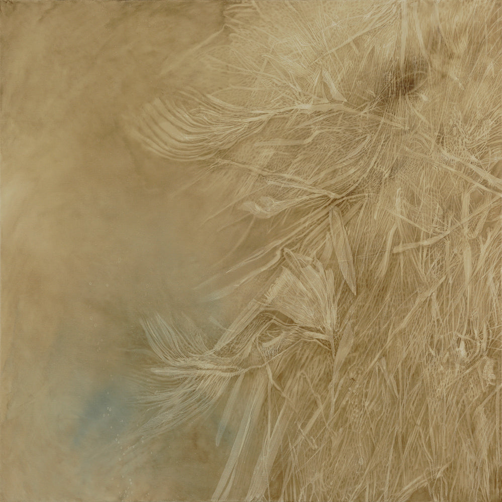 Shirley Ploog - Ebb & Flow