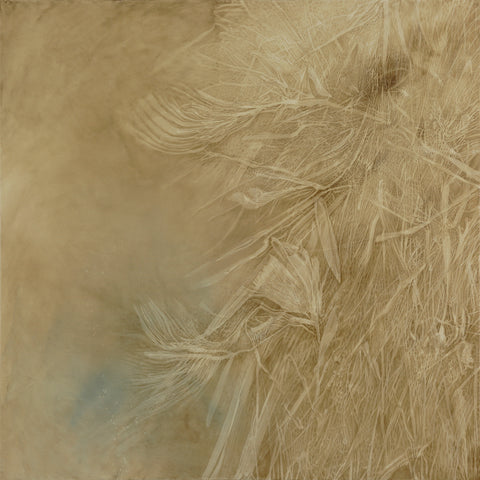 Shirley Ploog - Ebb & Flow